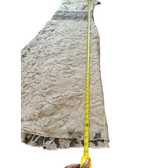 Tadashi Shoji Dress Ivory Latte Pumice Lace Tulle Nomi Formal Evening Size 12 - Picture 14 of 14